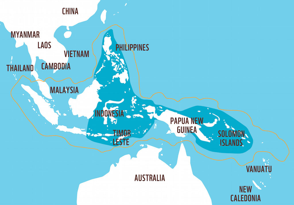 http://wwf.panda.org/what_we_do/where_we_work/coraltriangle/coraltrianglefacts/