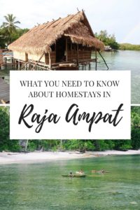 Raja Ampat Homestays Pin