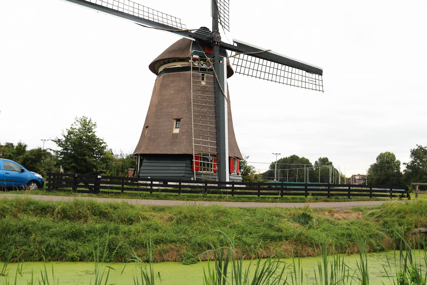 Windmills in Edam